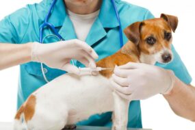 Чипирование