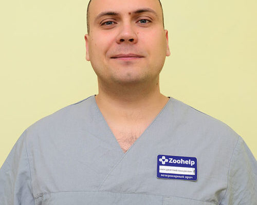 Сенюк Дмитрий Геннадьевич